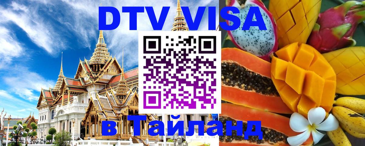 Оформление DTV визы под ключ: стоимость и тарифы, только загранпаспорт - 20.11.2025 